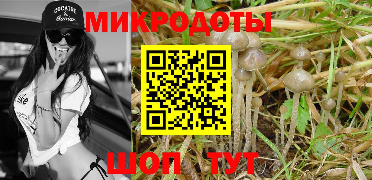 Псилоцибиновые грибы Magic Shrooms Грязи
