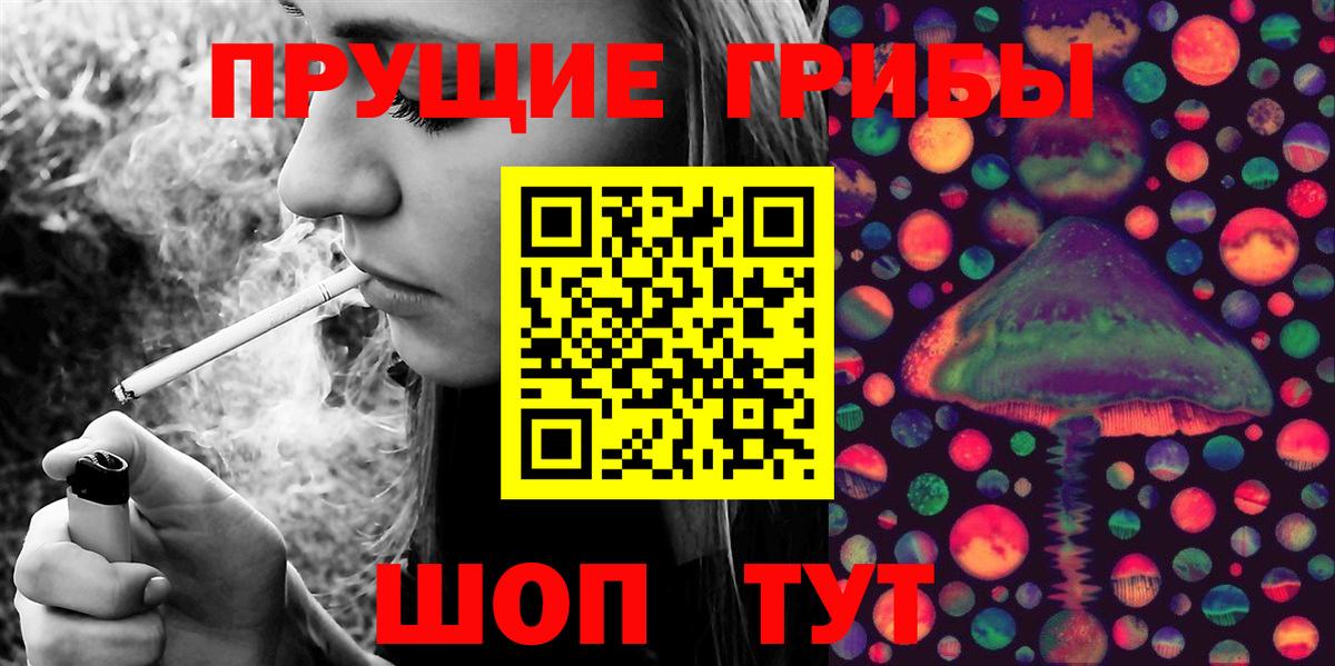 Галлюциногенные грибы прущие грибы  Вход с VPN  Грязи  Псилоцибиновые грибы прущие грибы 